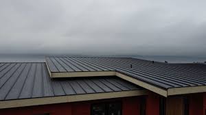 Best Rubber Roofing (EPDM, TPO)  in Omao, HI